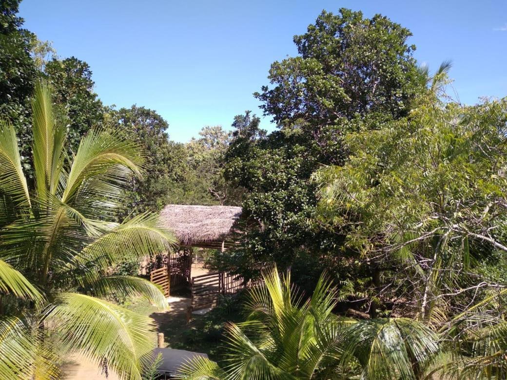 Home In The Island Тангале Екстериор снимка