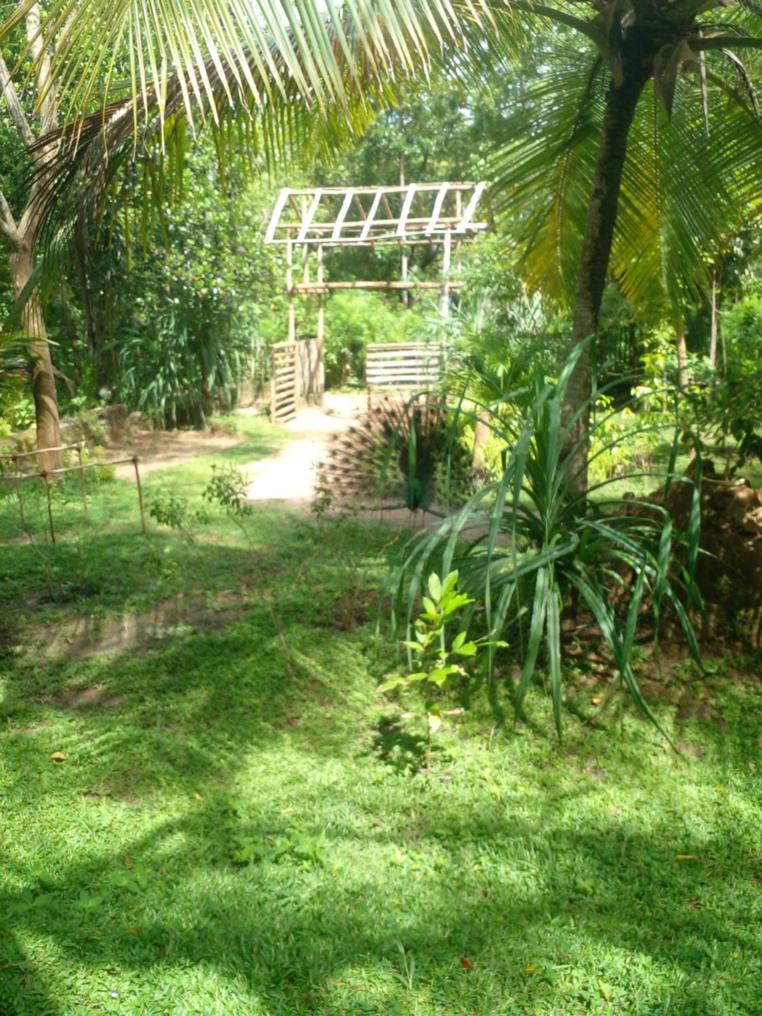 Home In The Island Тангале Екстериор снимка