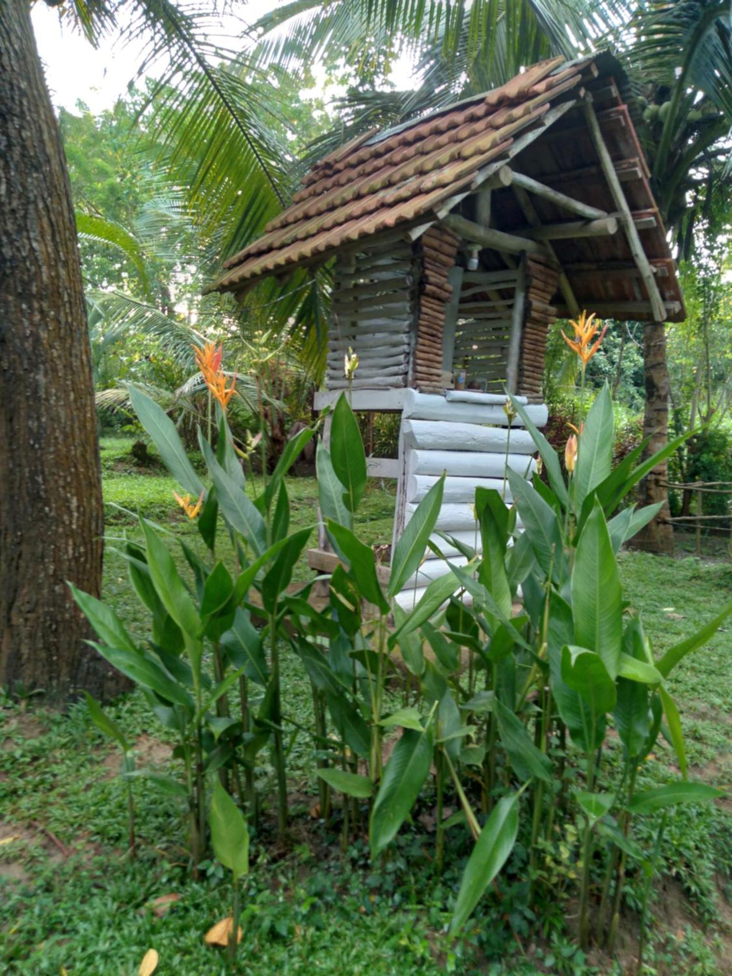 Home In The Island Тангале Екстериор снимка