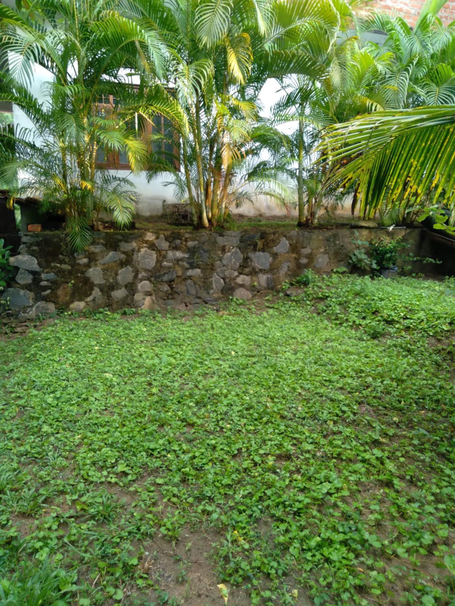 Home In The Island Тангале Екстериор снимка